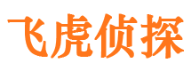 安平外遇取证